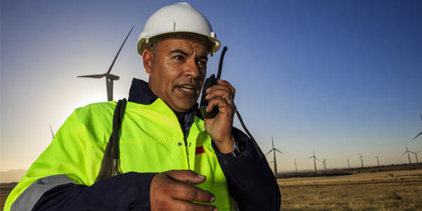 The need for flexible energy systems and renewables